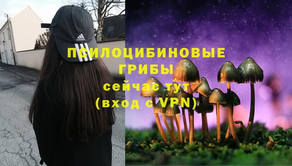 гашиш Богданович